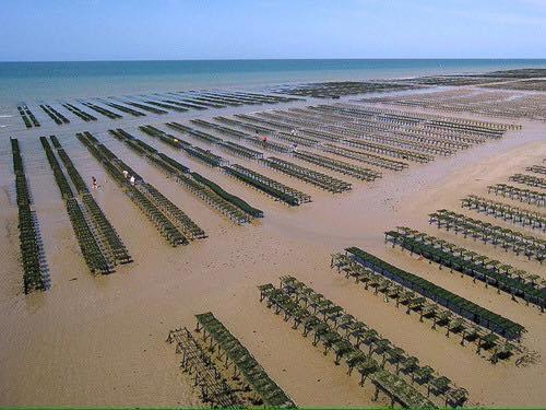Commes Maison Renovee En Pierres Sejour Spacieux Avec Jardin Et Terrasse Amenagee Pres Omaha Beach & Bayeux A 5Mn De La Mer Tous Commerces מראה חיצוני תמונה